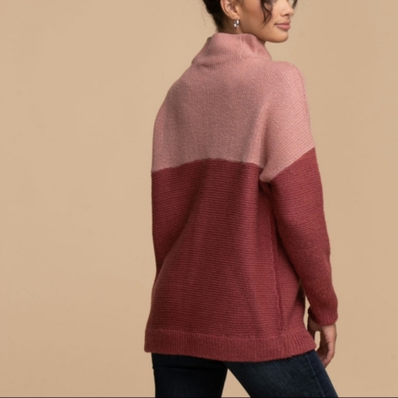 NWT Cloth by RD Colourblock Mock Neck Sweater - Picture 4 of 9
